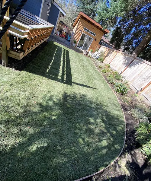 New Lawn Installation in Kent 
